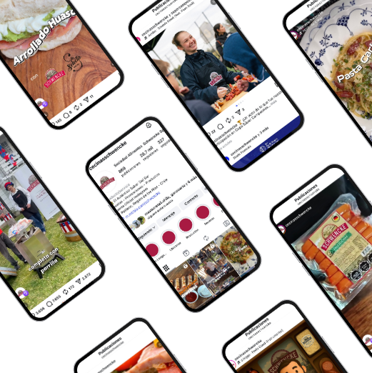 diseño sin título 24